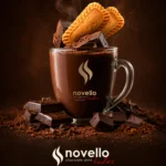 novel